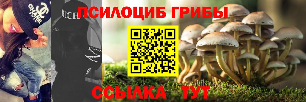 Псилоцибиновые грибы GOLDEN TEACHER Тихорецк